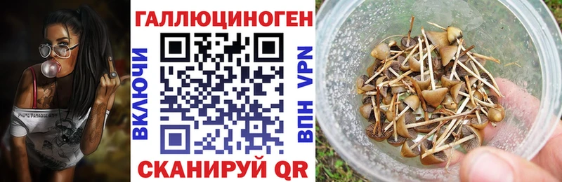 Псилоцибиновые грибы Psilocybe  Купить закладки  Вилючинск 